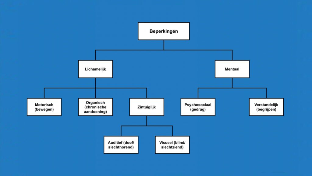 Een indeling van de verschillende beperkingen.